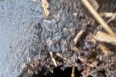 20210622_150802